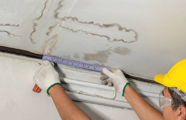 Reliable Mold Remediation contractor in Dublin, CA by Water Damage Irwin